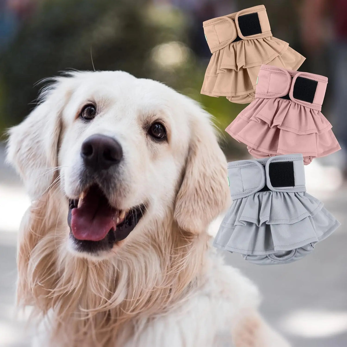 Washable Female Dog Diapers In Heat Highly Absorbent 3 Pack