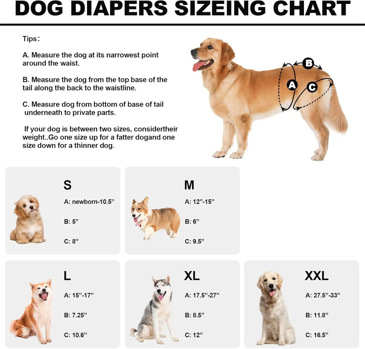 Washable Female Dog Diapers In Heat Highly Absorbent 3 Pack