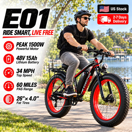 EOEOTWO Electric Bike With Removable Battery And Dual Disc Brakes
